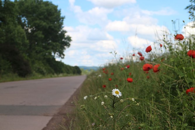 Wetterbild (Foto: agl)
