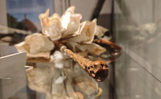 Der Regenschirm im Wandel der Zeit (Foto: nnz)