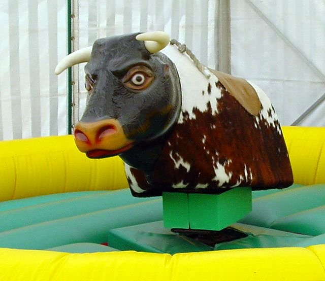 Den Bullen reiten (Foto: KSK)