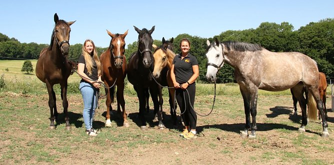 Auf dem Strau&szlig;berg bieten Julia und Franziska K&ouml;hler seit 8 Jahren pferdegest&uuml;tztes Coaching an (Foto: agl)