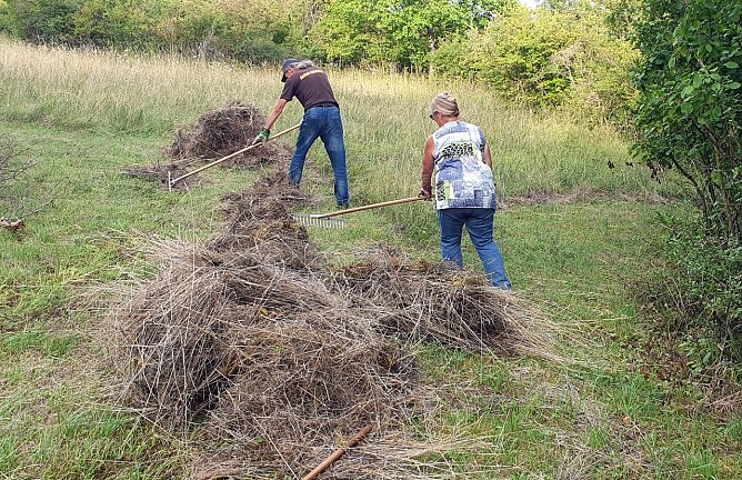 Kraft, Kondition und Naturliebe geh&ouml;ren bei der ehrenamtlichen Landschaftspflege zusammen. Zwei Enthusiasten harken am 24. Juli, um den wertvollen Magerrasen zu erhalten. (Foto: B. Schwarzberg)