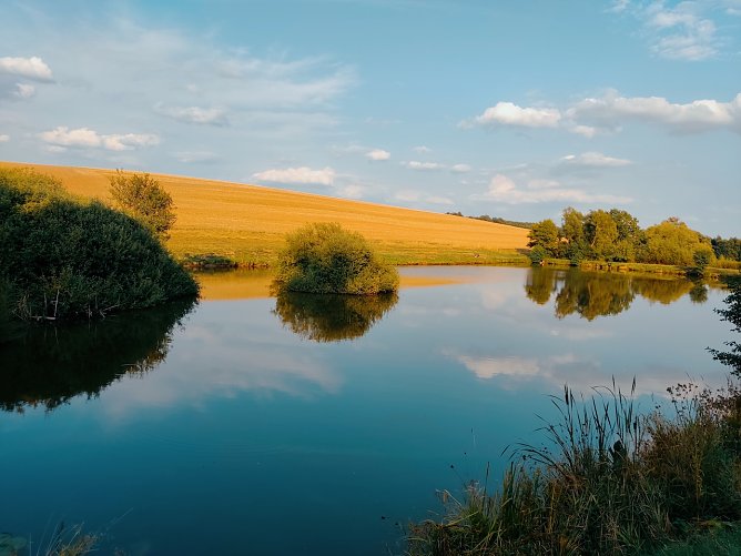 !. Fischteiche Helenenhof (Foto: Ramona Koch)