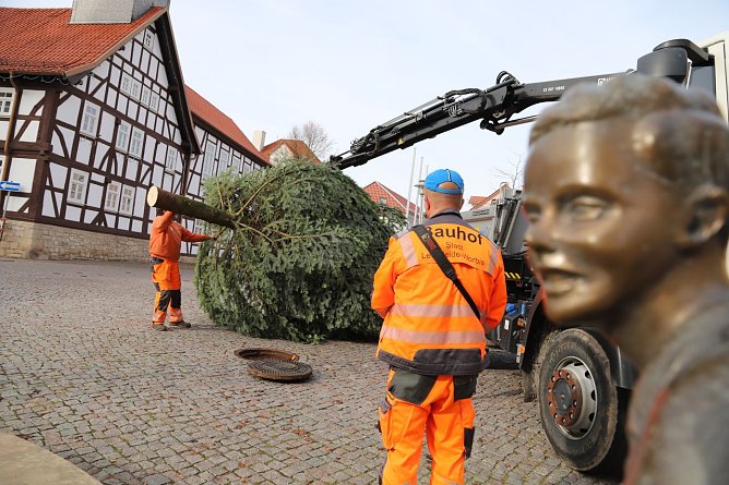 Leinefelde-Worbis sucht den Weihnachtsbaum für die festlichen Tage (Foto: Stadt Leinefelde-Worbis) Leinefelde-Worbis sucht den Weihnachtsbaum für die festlichen Tage (Foto: Stadt Leinefelde-Worbis)