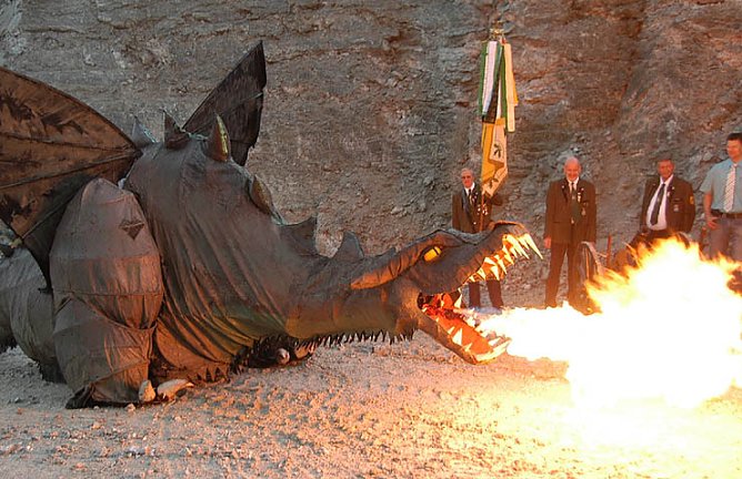 Fangdorn ist eingeflogen (Foto: nnz)