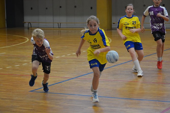 Ergebnisdienst Handball (Foto: NSV) Ergebnisdienst Handball (Foto: NSV)