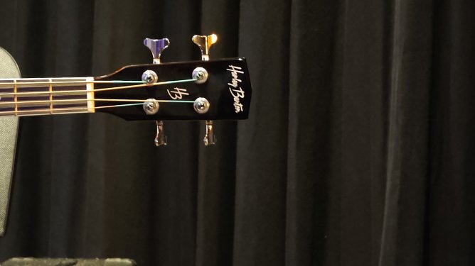 Inspirisation mit vier Saiten (Foto: red)