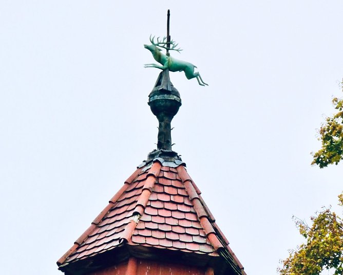Der Hirsch auf dem Dach der Neanderklinik (Foto: Tim Sch&auml;fer)