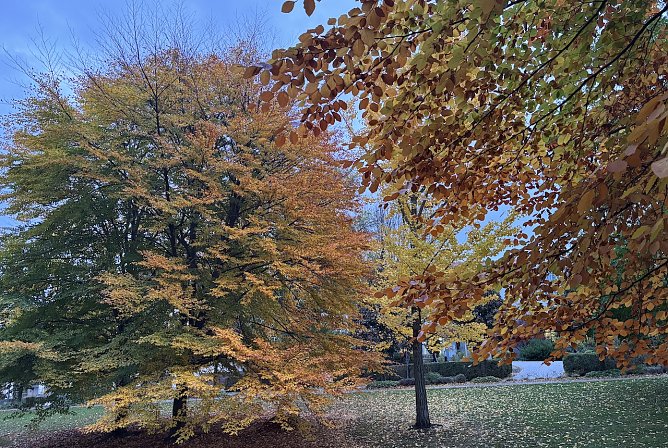 Ruhiges Herbstwetter am heutigen Feiertag (Foto: oas) Ruhiges Herbstwetter am heutigen Feiertag (Foto: oas)