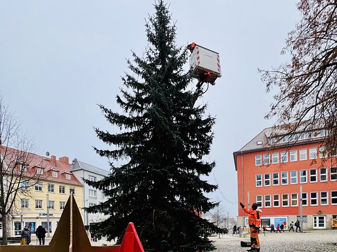 Schmücken des Weihnachtsbaums am Rathausplatz (Foto: Stadtverwaltung Nordhausen) Schmücken des Weihnachtsbaums am Rathausplatz (Foto: Stadtverwaltung Nordhausen)