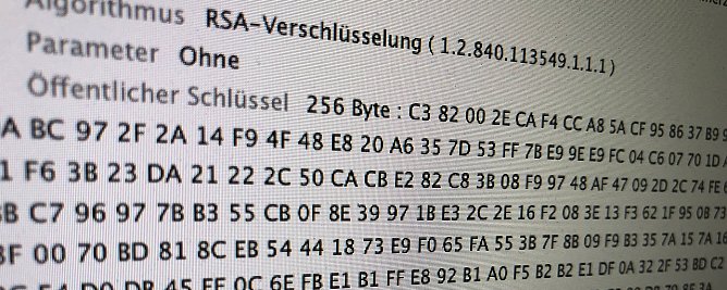 Quellcode (Foto: vgf) Quellcode (Foto: vgf)