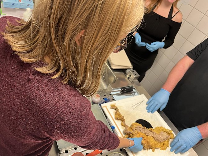Praixs Besuch in der Pathologie des S&uuml;dharz Klinikums (Foto: Humboldt-Gymnasium)
