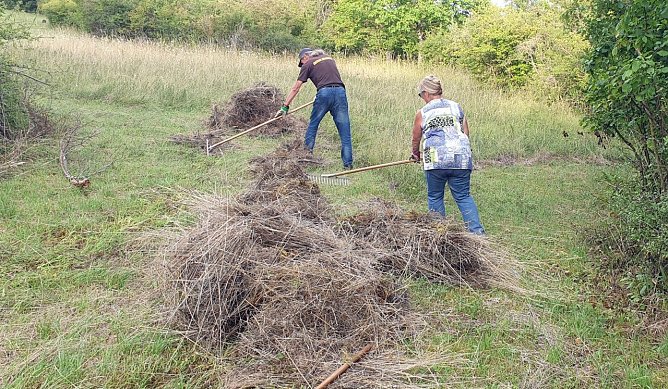 M&auml;hen und Harken geh&ouml;rt zu den h&auml;ufigsten Ma&szlig;nahmen bei ehrenamtlichen Artenschutzeins&auml;tzen, hier in der N&auml;he von Bleicherode.  (Foto: B. Schwarzberg)