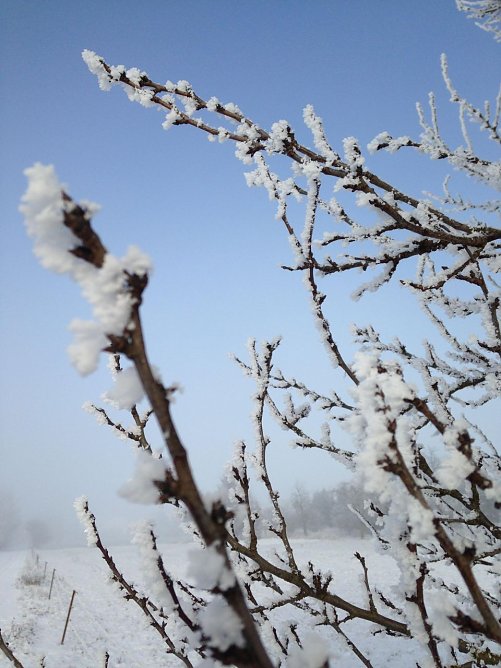 Das sch&ouml;ne Winterwetter bleibt erhalten. (Foto: Sylvia Hartung)
