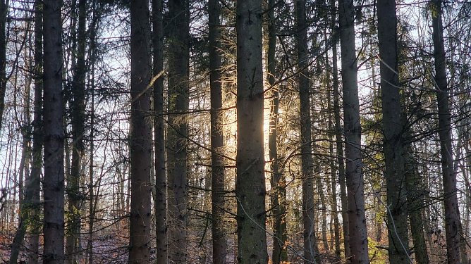 Symbolbild Wetter (Foto: agl)