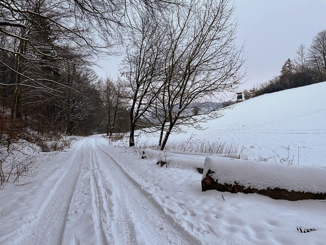 Symbolbild Winterwetter (Foto: ssc) Symbolbild Winterwetter (Foto: ssc)