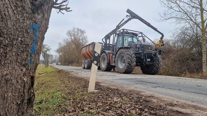 An der Stra&szlig;e nach Heringen wurde heute mit dem Baumschnitt zur Vorbereitung der Bauma&szlig;nahmen begonnen (Foto: agl)