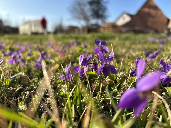 Symbolbild Frühling (Foto: agl) Symbolbild Frühling (Foto: agl)