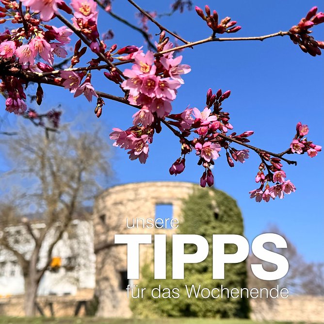 Tipps zum Wochenende (Foto: Stadtverwaltung Nordhausen) Tipps zum Wochenende (Foto: Stadtverwaltung Nordhausen)