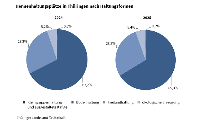 So werden Hühner in Thüringen gehalten. (Foto: Quelle: Statitisches Landesamt) So werden Hühner in Thüringen gehalten. (Foto: Quelle: Statitisches Landesamt)