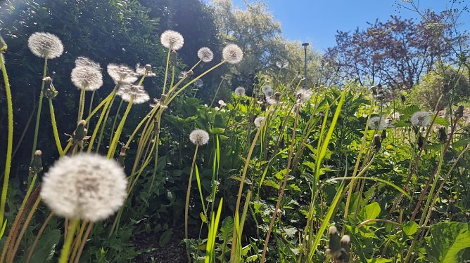 Wetterbild (Foto: agl) Wetterbild (Foto: agl)