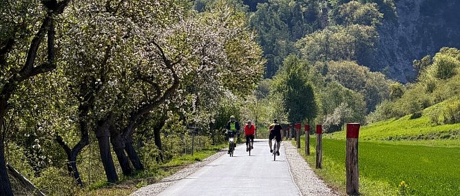 Der Kyffhäuserlandweg bei Steinthalleben verläuft neben der Straße. (Foto: Julia Hornickel ) Der Kyffhäuserlandweg bei Steinthalleben verläuft neben der Straße. (Foto: Julia Hornickel )