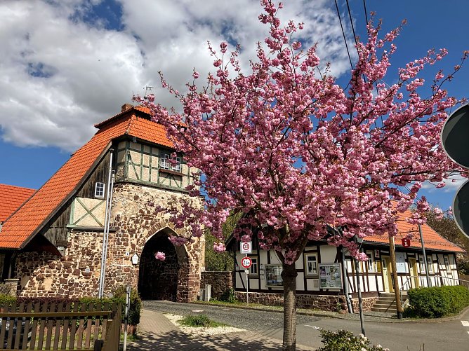 In Neustadt feiert man am 6. Juni den Naturschutztag. (Foto: ssc) In Neustadt feiert man am 6. Juni den Naturschutztag. (Foto: ssc)