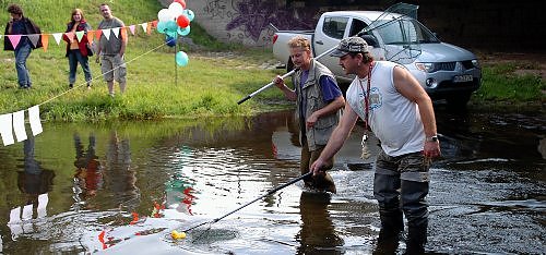 Enten am Ziel (Foto: wf) Enten am Ziel (Foto: wf)