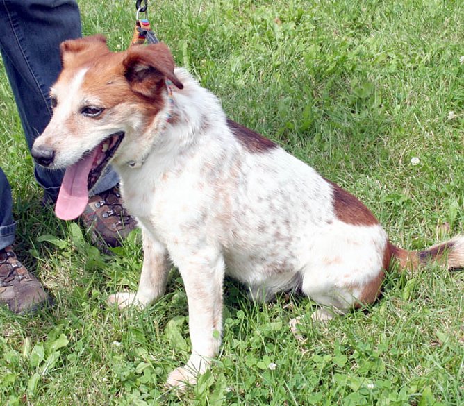 Russel (Foto: rh) Russel (Foto: rh)