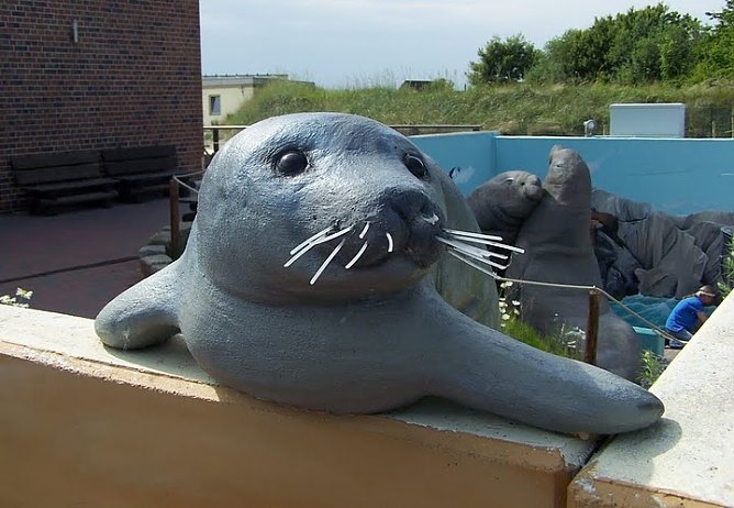 Abstecher nach Friedrichskoog (Foto: S. Tetzel)
