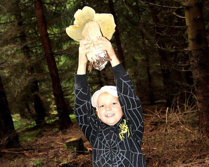 In den Pilzen (Foto: privat)