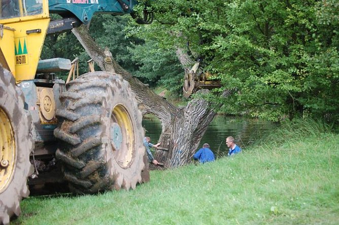 Geangelt (Foto: H. Michel)