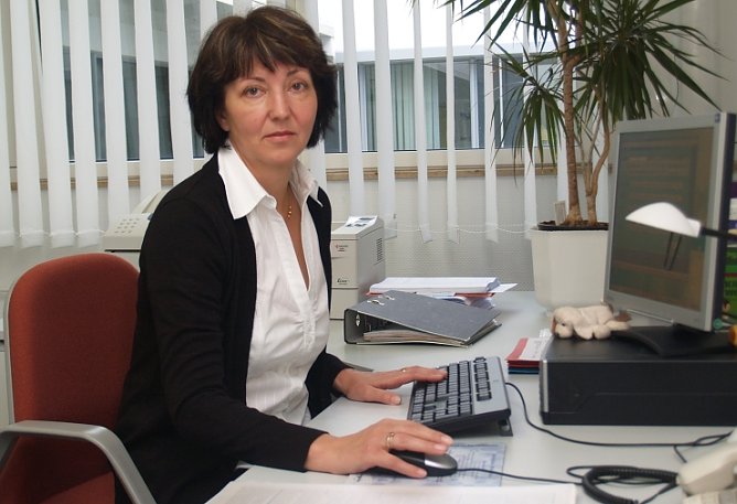 Fernschild (Foto: SHK) Fernschild (Foto: SHK)