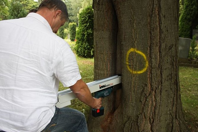 Messen (Foto: nnz-tv)