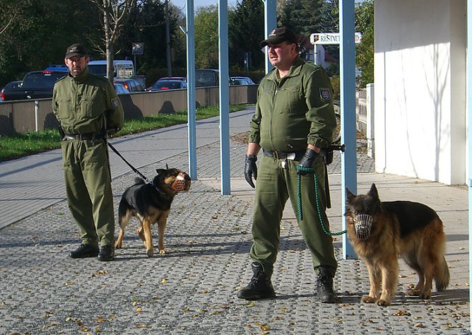 Schützen (Foto: nnz) Schützen (Foto: nnz)