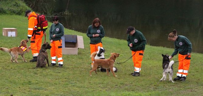 Festwoche (Foto: KSB) Festwoche (Foto: KSB)