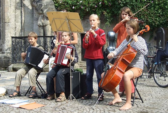 Klatschmohn (Foto: TN) Klatschmohn (Foto: TN)