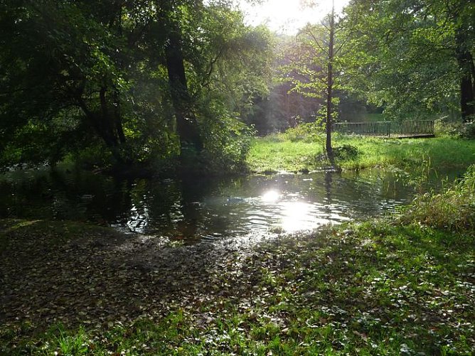 Herbst im Nordhäuser Stadtpark (Foto: privat) Herbst im Nordhäuser Stadtpark (Foto: privat)