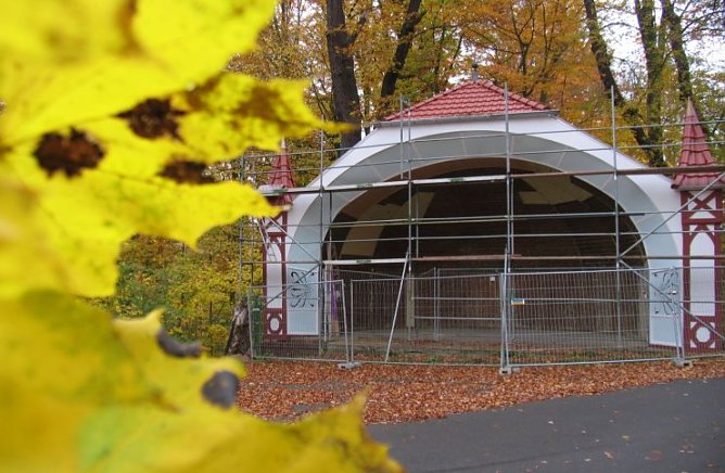 Schmucke Muschel (Foto: psv)