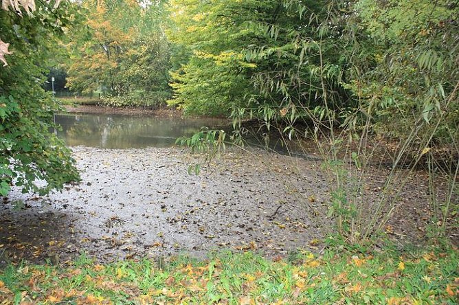 Stadtpark Teich (Foto: I. Bergmann)
