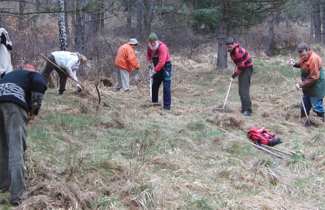 Durch Pflege erhalten (Foto: B. Schwarzberg) Durch Pflege erhalten (Foto: B. Schwarzberg)