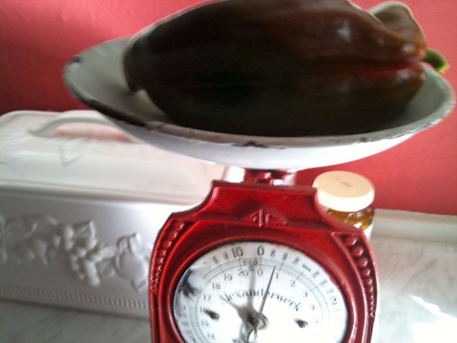 Gute Ernte (Foto: privat)