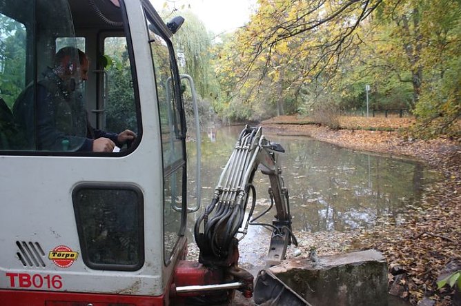 Entschlammt (Foto: P. Grabe) Entschlammt (Foto: P. Grabe)