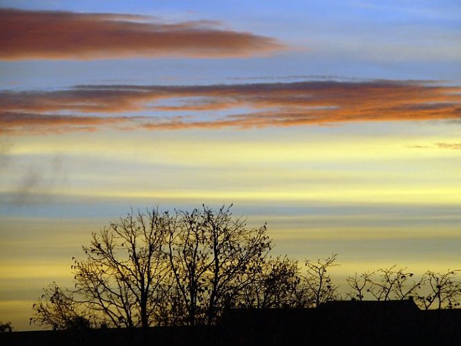 Aufgegangen (Foto: nnz)