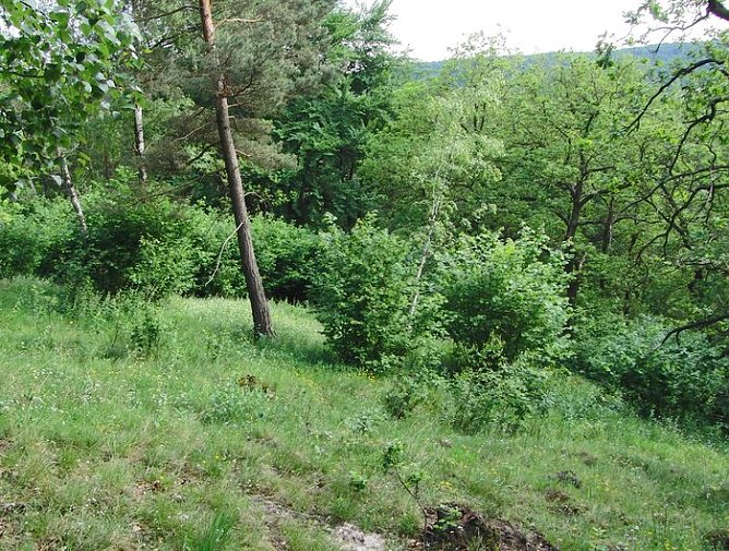 Vor dem Arbeitseinsatz (Foto: B. Schwarzberg)