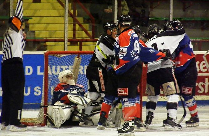 Die Bullen kommen (Foto: R. Koch) Die Bullen kommen (Foto: R. Koch)