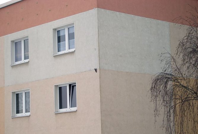 Beharrlich (Foto: privat)