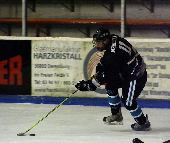 W&ouml;lfe wollen siegen (Foto: R. Koch)