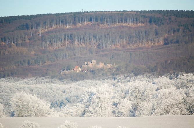 Herrlicher S&uuml;dharz (Foto: H. Michel)