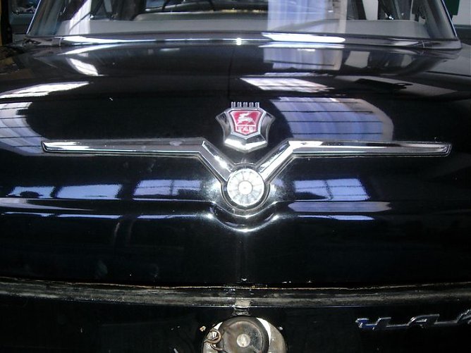 Die Möwe fehlte noch (Foto: privat) Die Möwe fehlte noch (Foto: privat)