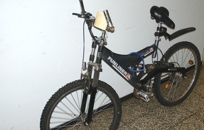 Besitzer gesucht (Foto: pol)